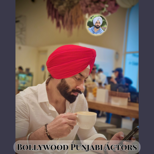 Who is the Top Punjabi Actor in Bollywood?